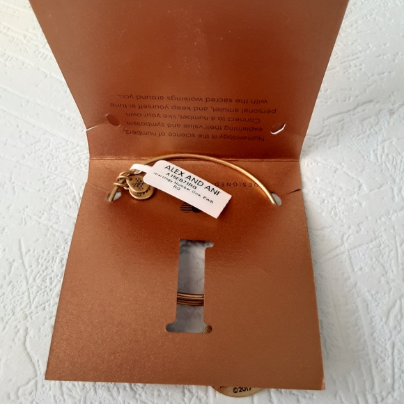 Alex And Ani Numerology Charm Bracelet - Picture 2 of 3